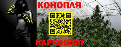 мдпв Обь