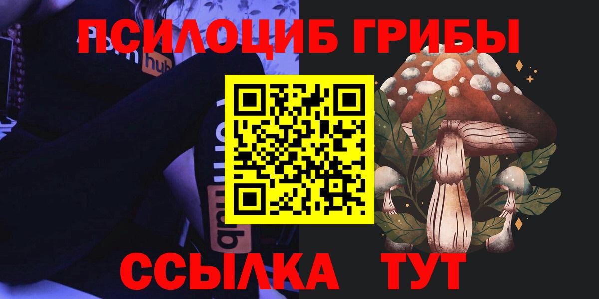 Самара  Псилоцибиновые грибы Psilocybine cubensis  хочу наркоту  Вход с VPN 