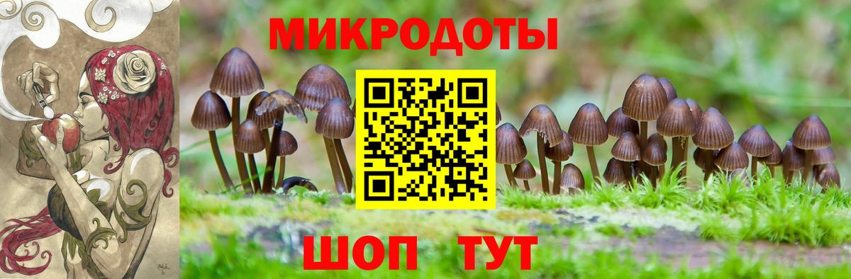 Галлюциногенные грибы прущие грибы Самара